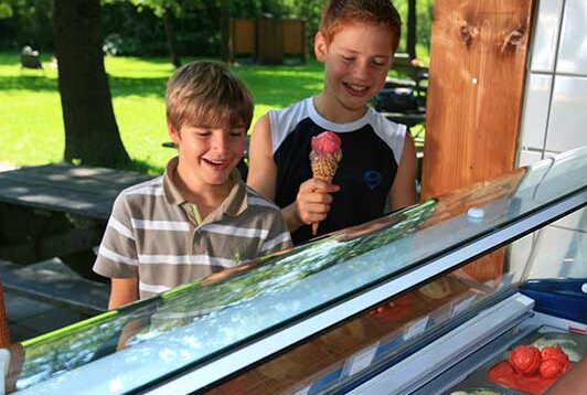 Rinser Natur-Eis